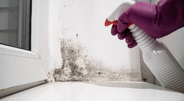 Best Residential water damage restoration  in Ketchum, ID